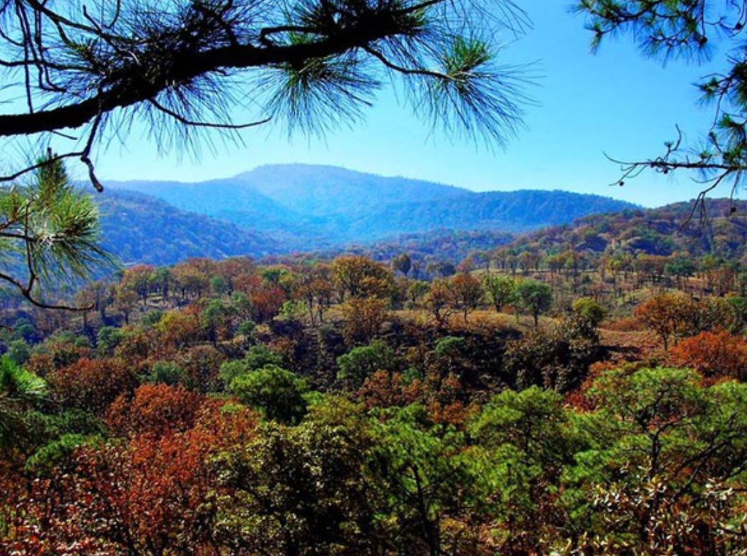 casas en venta las cañadas