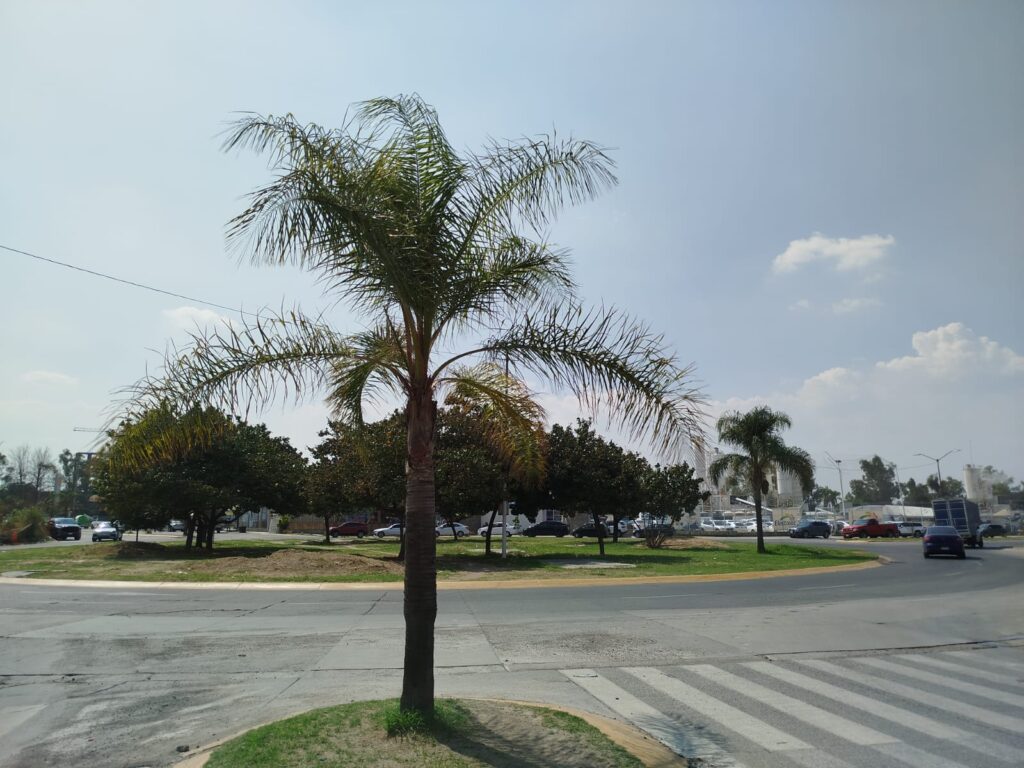 terreno para plaza comercial
